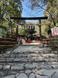 Kyoto 🇯🇵: Temples, Culture, Historical and Timeless