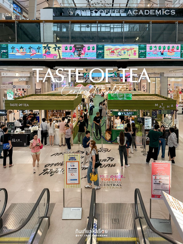 Taste of Tea มัทฉะครองทั้งงาน!🍵🍵