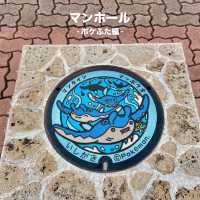 【足元】マンホール🕳️ポケふた編