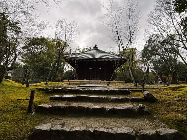 貴重な経典を収める静寂の空間📜✨