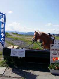 嵐山嵯峨野小火車🚂，脫離現實世界二十五分鐘之旅