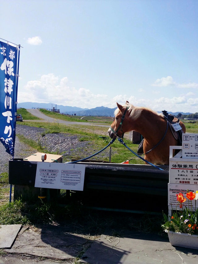 嵐山嵯峨野小火車🚂，脫離現實世界二十五分鐘之旅