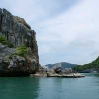 เกาะลิง ธรรมชาติทางทะเล