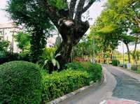 泰國曼谷市中心城市綠洲湖泊公園免稅店一日遊行程，適合休閒逛街打卡拍照📸