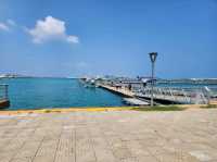 [🇲🇻モルディブ] マレ国際空港からMilaidhoo Maldivesリゾートまでの水上飛行機体験