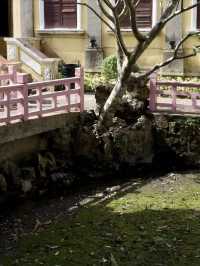 翠影流連：盧廉若公園的詩意漫步