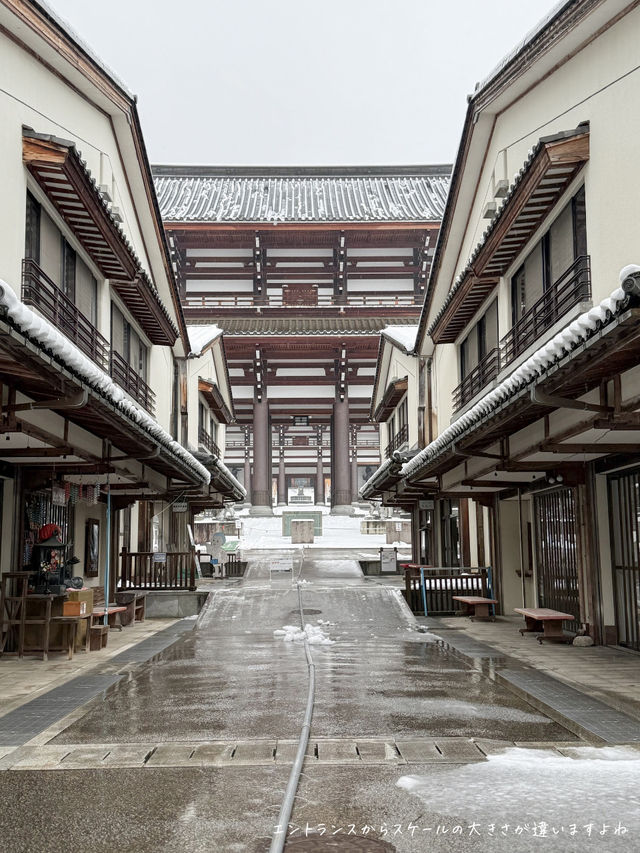 圧倒的なスケールの大きさ！福井のパワースポットに行こう⛩
