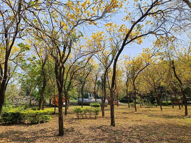 漫步糖廠，沉浸在賞花與春日暖陽中，格外愜意。