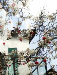 🏮 Pingjiang Road, Suzhou | ถนนเก่าฟีลจีนโบราณ 