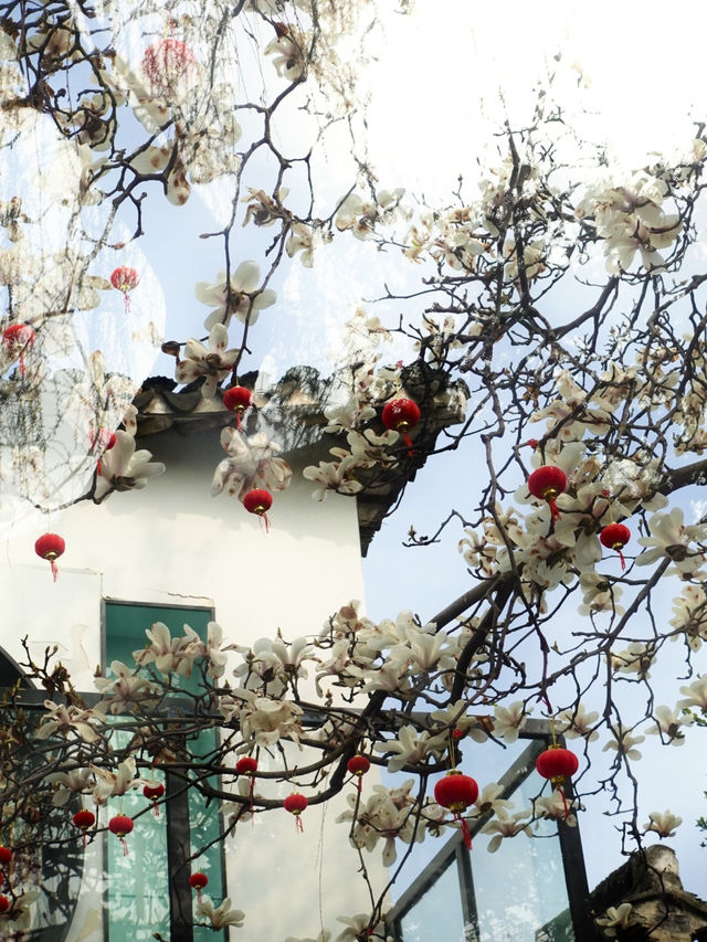 🏮 Pingjiang Road, Suzhou | ถนนเก่าฟีลจีนโบราณ 