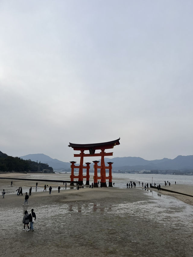 嚴島神社幾時去？潮退還是潮漲？why not both?