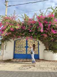 Spring Blossoms in Sidi Bou Said💐