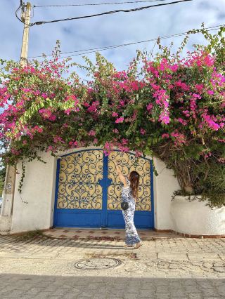 Spring Blossoms in Sidi Bou Said💐