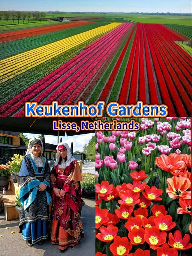 Keukenhof Gardens, literally a paradise for anthophiles & photography buffs! 