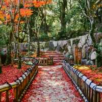 Kobe: A City of Scenic Views and Culinary Excellence