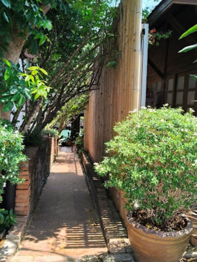 😝 Ayutthaya Retreat