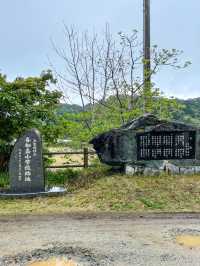 【沖縄】大宜味村 北部で活動する工芸家作品に出会えるリノベショップ