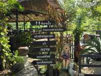 พิกัดร้านอาหารที่มีสวนสัตว์🦒ลพบุรี