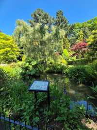 Fletcher Moss Botanical Gardens