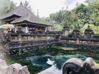 【バリ島】ティルタ ウンプル寺院 観光ガイド