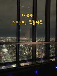 일본의 주요 전망대 모음집 🎶✨