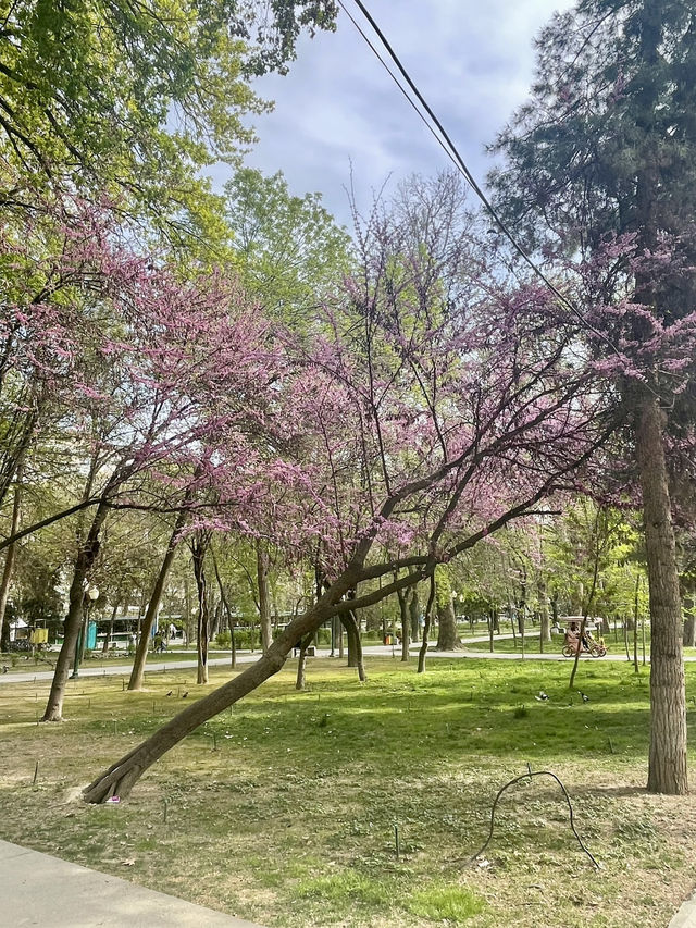 Park V Tashkent - A hidden Gem