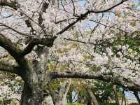日本九州長崎大村公園