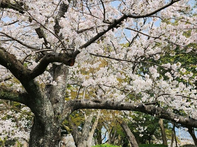 日本九州長崎大村公園
