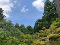 苔と花の楽園。京都・三千院で心ほどけるひとときを…🌿⛩️