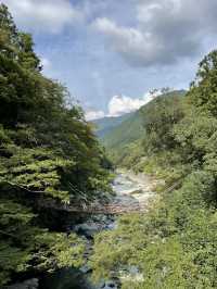【徳島】四国の山奥にかかるかずらで造った橋・かずら橋