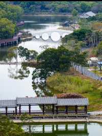 珠海香山湖公園｜全家半日遊首選🌳  