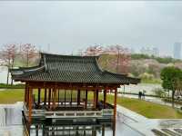 Guangzhou New Cultural Center– A Modern Hub of Lingnan Arts & Innovation