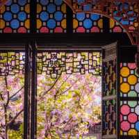 Breathtaking Suzhou Garden
