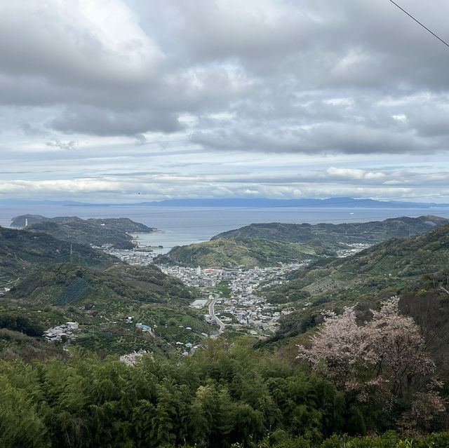 🇯🇵【熊野古道】紀伊路　世界遺産🌎