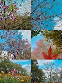พิษณุโลก 5 วัน 4 คืน แบบไปเรื่อยๆ ไม่รีบ 🍁🌸