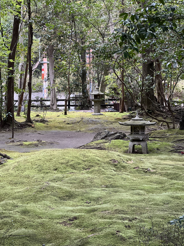 사랑❤️이 넘처나는 노노미야 신사⛩️ 연분을 맺어보세요! "Nonomiya Shrine"