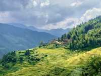 Guilin’s greenery