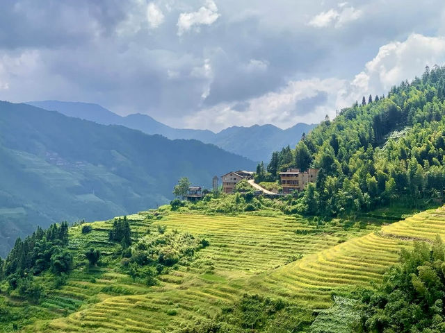 Guilin’s greenery