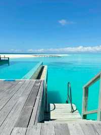 Ocean Dreams: Dive into the Maldives Experience