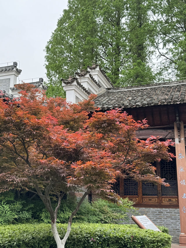反向旅遊成功！吉安這座神仙小城🫶