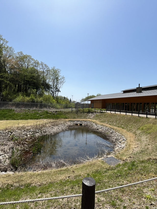 Kibagata satoyama