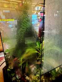 Recycle in Style – MOV Hotel’s Green Welcome