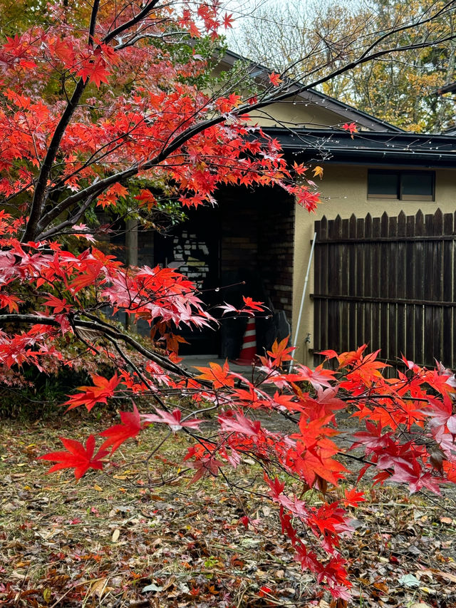 Yufuin Onsen Ryokan Hotaru no Yado Sendo