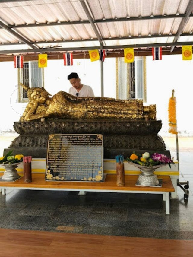 💞 วัดป่าโมกวรวิหาร