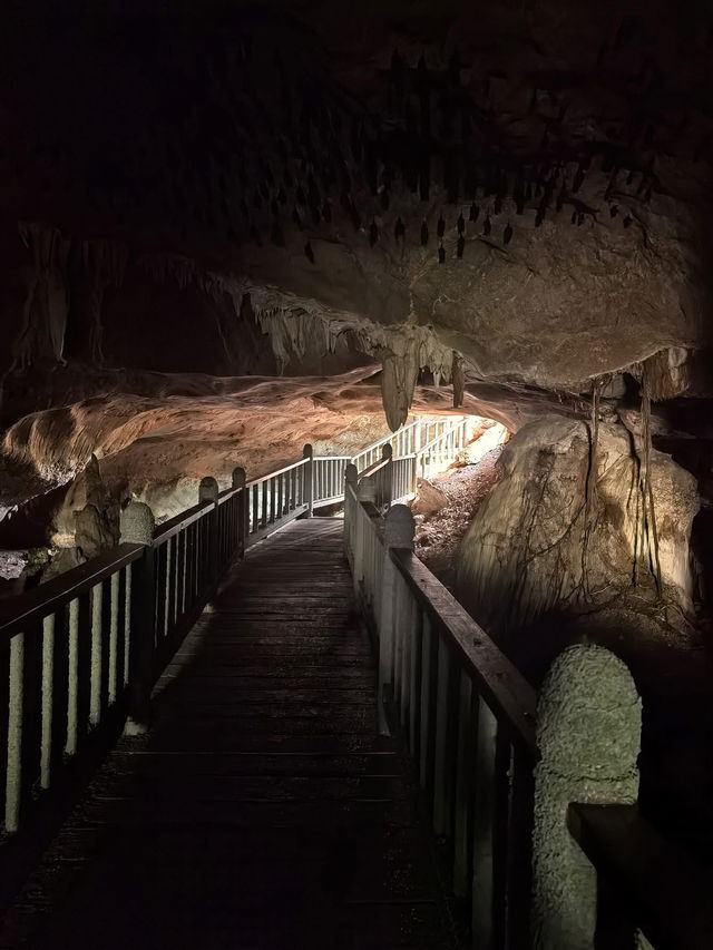 Kilim Geoforest Park Island Hopping: A Journey Through Langkawi’s Natural Wonders 