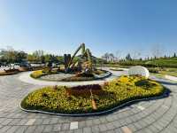 Play, Pets & Plants—Pyeongtaek Fun!