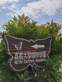 臺版濱灣花園#嘉大植物園-嘉義市東區