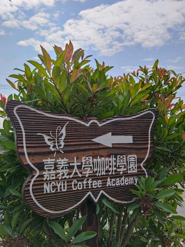 臺版濱灣花園#嘉大植物園-嘉義市東區