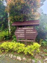 A Hidden Zen Garden in the Clouds — Japanese Village at Genting