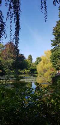 🎨 Fondation Monet in Giverny – 모네의 정원, 꿈같은 아침
